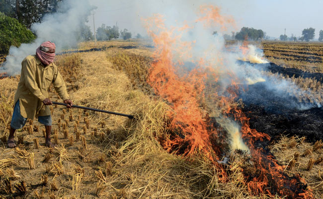 "Farmers Are Burning Stubble Under Compulsion": National Human Rights Body