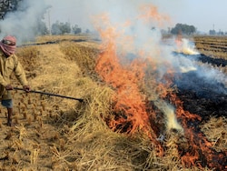 Amid Worsening AQI In Delhi, Top Court Seeks Report On Stubble Burning