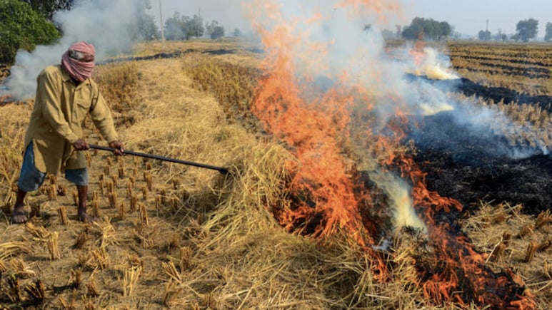 Amid Worsening AQI In Delhi, Top Court Seeks Report On Stubble Burning