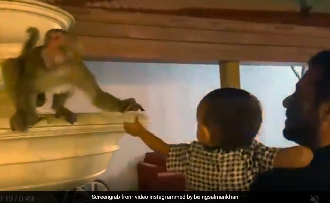 Trending: Salman Khan And Niece Ayat Feeding Monkeys