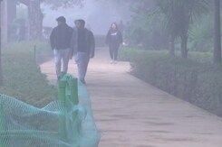 Chief Justices Changed, Delhi Air Still Polluted. What Supreme Court Said Chief Justices Changed, Delhi Air Still Polluted. What Supreme Court Said