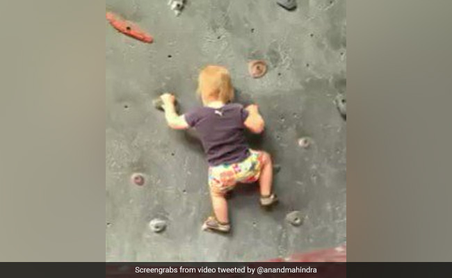 दीवार पर चढ़ रहे बच्चे की हिम्मत के कायल हुए आनंद महिंद्रा, वीडियो देख हर कोई हो रहा प्रेरित