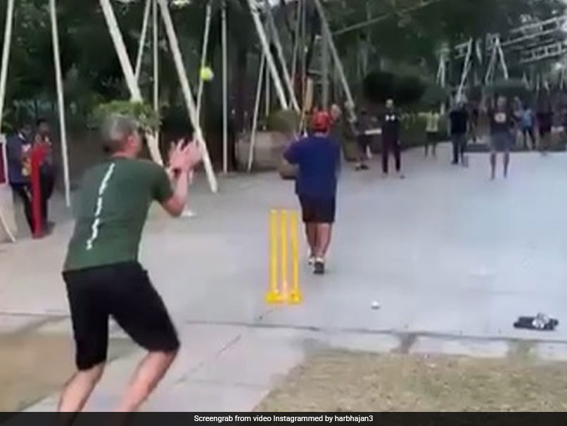 "Singh Is King": Harbhajan Singh Celebrates After Taking Catch In "Gully Cricket"