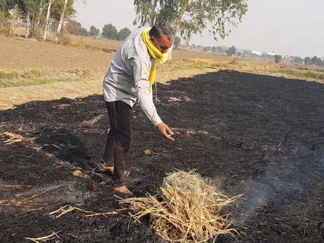 "Cat's Out Of The Bag": Supreme Court On Centre's Stubble-Burning Data