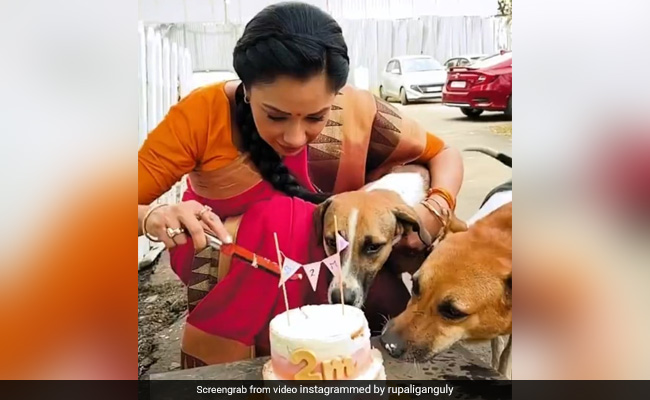 रुपाली गांगुली ने स्ट्रीट्स डॉग्स संग केक काट मनाई 2 मिलियन फॉलोअर्स की खुशी, वीडियो देख फैन्स ने की जमकर तारीफ 