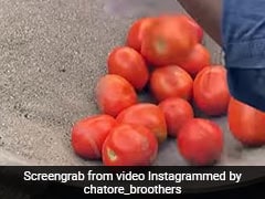 Wait, What? Delhi Street Food Vendor Roasts Tomato In Sand, Video Goes Viral Wait, What? Delhi Street Food Vendor Roasts Tomato In Sand, Video Goes Viral