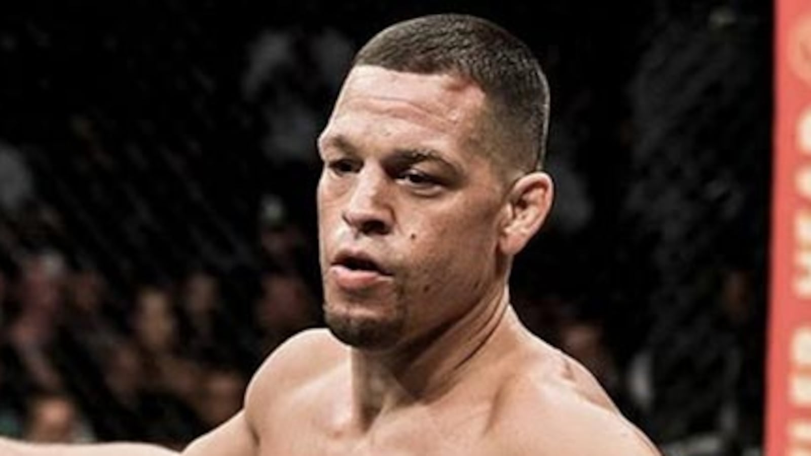 Nate Diaz’s Brutal Verdict on Ilia Topurias "Punching Bag" Remark After Gaethje Loss