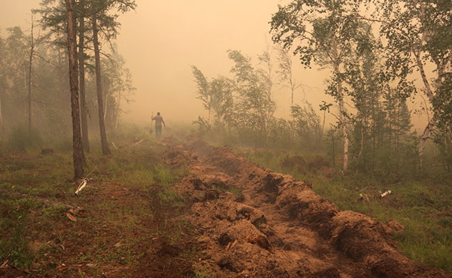 38 Degrees Celsius Logged In Siberia Is Arctic's Highest Temperature Ever