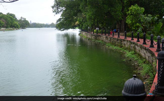 Kolkata Plans Liquid Oxygen Infusion In Lake After Dead Fish Found Floating
