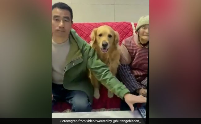 टीवी देखने के लिए आपस में लड़ रहे थे मां-बेटे, बीच में बैठे कुत्ते ने छीन लिया रिमोट, करने लगा ऐसी हरकत- देखें Video