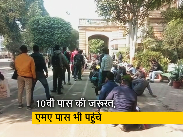 MP में बेरोजगारी का आलम : 15 पदों के लिए 11,082 उम्मीदवार