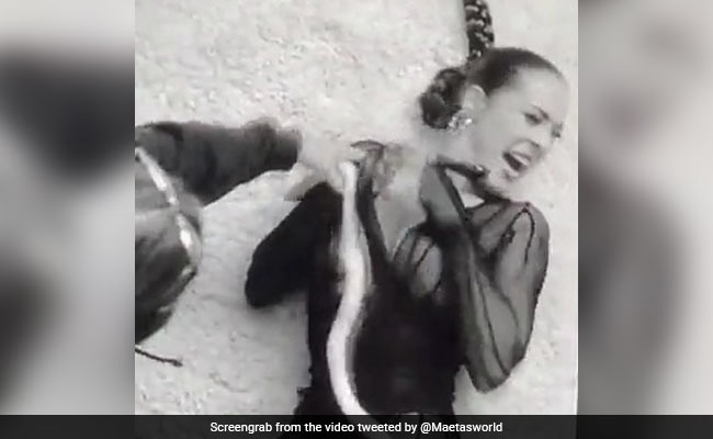 Watch: Pop Singer Bitten By Snake During Music Video Shoot