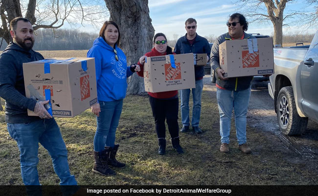 This Christmas "Gift" Shocked A US Animal Shelter: "Weren't Expecting..."
