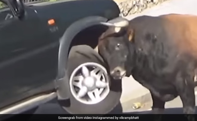 सड़क पर खड़ी कार में सांड ने मचाई तोड़-फोड़, यूजर्स बोले- भल्लादेव का गुस्सा- देखें Video