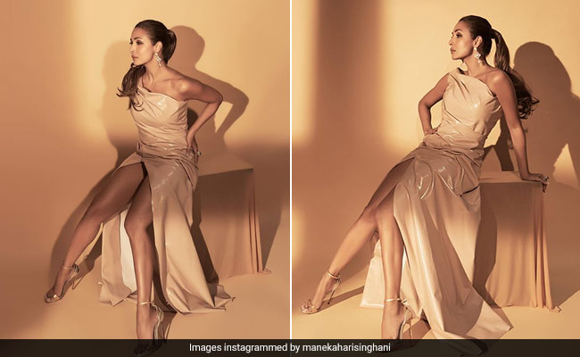 Malaika Arora's Beige Gown Proves That Even Neutral Tones Make A Stylish Impact