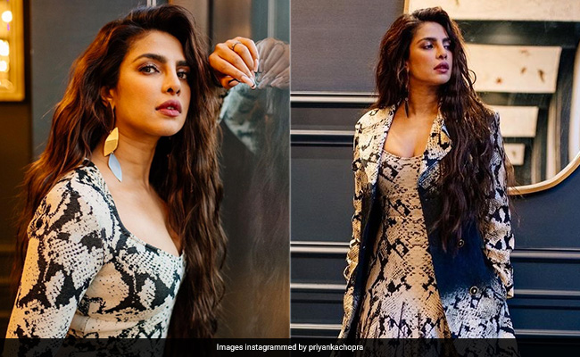 Priyanka Chopra Loved Her Serpentine Braid So Much, She Even Dolled Up In A Snake-Skin Printed Dress