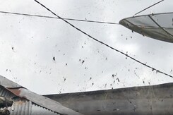 If You Are Terrified Of Spiders, You Probably Should Not Visit This Village If You Are Terrified Of Spiders, You Probably Should Not Visit This Village