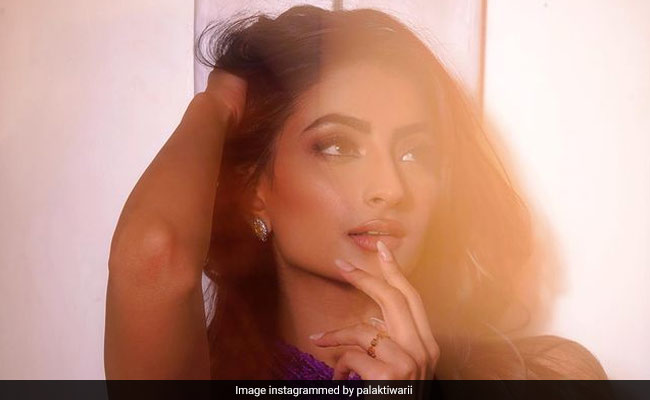 पलक तिवारी ने शेयर किया ग्लैमरस फोटोशूट, स्टाइलिश अंदाज से जीता फैन्स का दिल