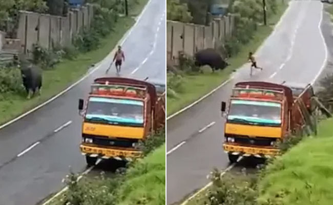 बेजुबान को सड़क पर बेरहमी से पीटता रहा लड़का, वीडियो देख मायूस हुए लोग