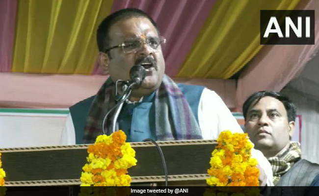 BJP Won't Get Muslim Votes As Removed Article 370, Says Party MP