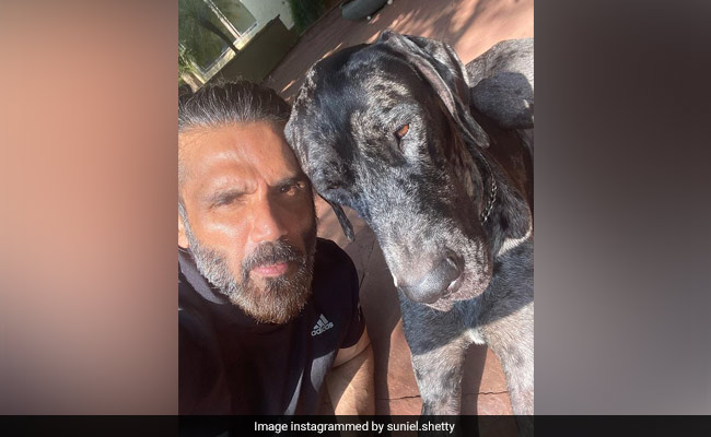 Here Is How Suniel Shetty Spreads "Pawsitivity" - See Pic