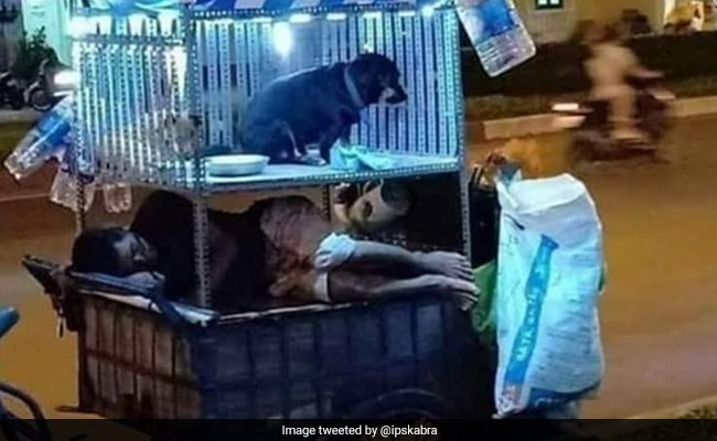 खुद के सिर पर नहीं है छत, लेकिन कुत्ते के लिए शख्स ने बनाया शानदार घर, IPS ने शेयर की दिल को छू लेने वाली तस्वीर