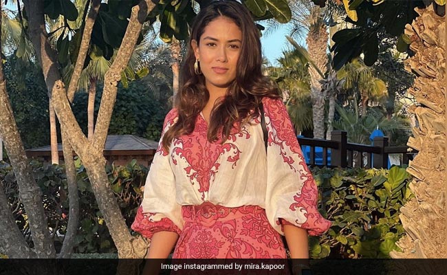 We Bet You Can't Find A Better Caption Than Mira Rajput For Her Dubai Pic
