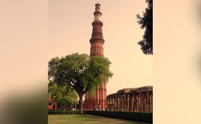 Delhi Court Rejects Plea To Restore Jain, Hindu Deities In Qutub ...