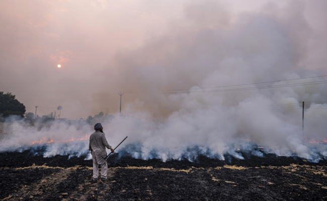 The Women Going From Farm To Farm To Help Stop Stubble Burning