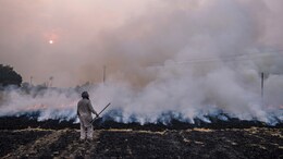 "Pakistan To Be Blamed": UP Pollution Official's Claim As Toxic Air Chokes Noida