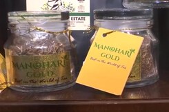 Assam's Manohari Gold Tea Sets Record, Sells For Rs 1 Lakh Per Kg Assam's Manohari Gold Tea Sets Record, Sells For Rs 1 Lakh Per Kg
