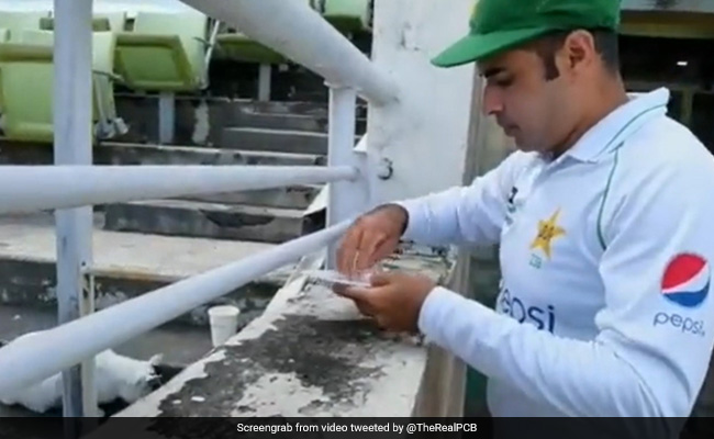 पाकिस्तानी क्रिकेटर अली ने जीता लोगों का दिल, इस कार्य के लिए जमकर हो रही है प्रशंसा, देखें Video