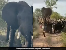 जंगल में टूरिस्टों को देख भड़क गए हाथी, गुस्से में आकर पलट दी उनकी गाड़ी, फिर हुआ कुछ ऐसा - देखें Shocking Video जंगल में टूरिस्टों को देख भड़क गए हाथी, गुस्से में आकर पलट दी उनकी गाड़ी, फिर हुआ कुछ ऐसा - देखें Shocking Video