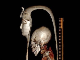 Egypt "Digitally Unwraps" Mummy Of Famed Pharaoh Discovered In 1881 Egypt "Digitally Unwraps" Mummy Of Famed Pharaoh Discovered In 1881