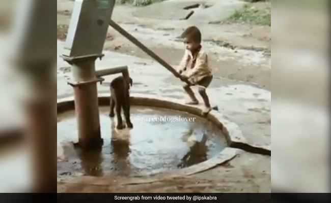 छोटे बच्चे ने बड़ी मेहनत करके चलाया हैंडपंप, फिर ऐसे बुझाई कुत्ते की प्यास, IPS ने कही दिल जीत लेने वाली बात - देखें Video