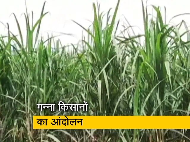 लखीमपुर खीरी में गन्‍ना किसानों ने निकाला बैलगाड़ी मार्च, 700 करोड़ के बकाया भुगतान की मांग