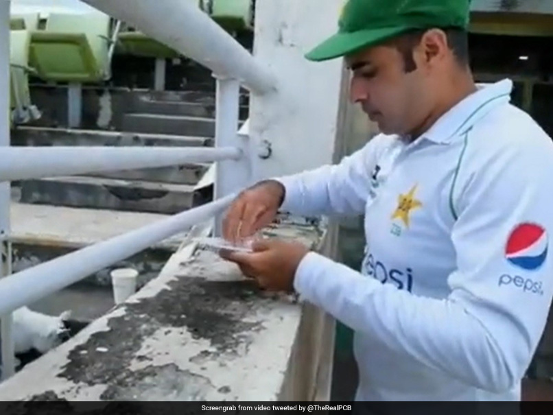 Watch: Pakistan Cricketer Abid Ali Feeds A Cat During Test Match In Bangladesh