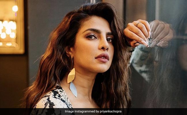 Priyanka Chopra's Smackdown Of News Report Which Called Her "Wife Of Nick Jonas": "Should I Add IMDb Link To Bio?"