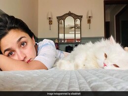 For Alia Bhatt And Adorable Furball Edward, Mondays Be Like For Alia Bhatt And Adorable Furball Edward, Mondays Be Like