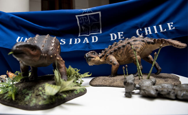 Dinosaur Tail Found In Chile Could Point To Discovery Of New Species