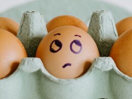 4 Egg Tray Options To Store Eggs