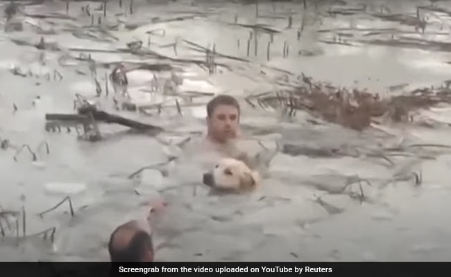 बर्फीली झील में डूब रहे डॉगी की पुलिसकर्मियों ने बचाई जान, वायरल वीडियो ने जीता लोगों का दिल