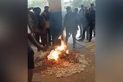 Video: Farmer Sets 160 kg Garlic Produce Ablaze - "Didn't Get Fair Price" Video: Farmer Sets 160 kg Garlic Produce Ablaze - "Didn't Get Fair Price"
