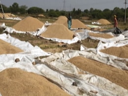 किसानों पर दोहरी मार: महीनों से खरीद केंद्र पर खड़े किसान, कर रहे खरीदारी का इंतजार, फसलें भी हो रही खराब किसानों पर दोहरी मार: महीनों से खरीद केंद्र पर खड़े किसान, कर रहे खरीदारी का इंतजार, फसलें भी हो रही खराब