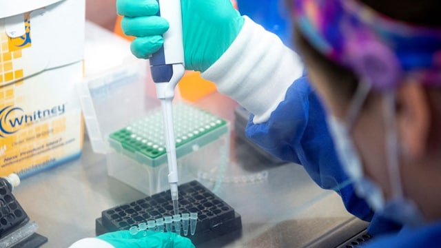 Covid Cases: Getting vaccinated can lower your risk of catching covid-19