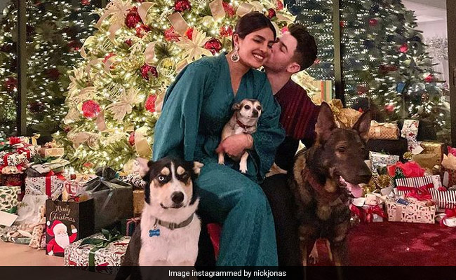 Inside Priyanka Chopra And Nick Jonas' Christmas - See Their Tree
