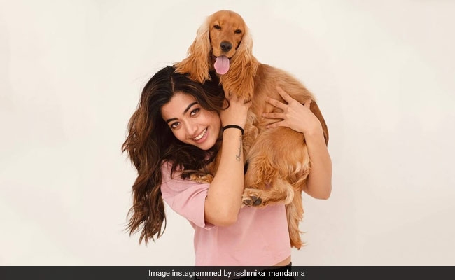 रश्मिका मंदाना ने फोटो में दिखाया, क्या थी 2021 से उम्मीदें, लेकिन कैसा गुजरा साल