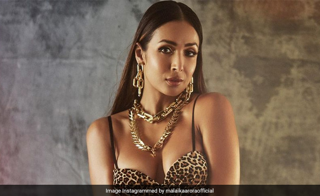 Hair Care Tips: मलाइका अरोड़ा के 48 की उम्र में काले-घने बालों का राज हैं ये खास तेल, जानें बनाने का तरीका, देखें Video