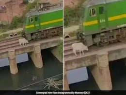रेलवे ब्रिज पर ट्रेन ने गाय को मारी जोरदार टक्कर, खुशकिस्मती से बच गई जान..देखें वीडियो रेलवे ब्रिज पर ट्रेन ने गाय को मारी जोरदार टक्कर, खुशकिस्मती से बच गई जान..देखें वीडियो