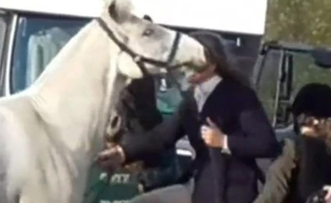 महिला टीचर ने घोड़े को मारी लात, वीडियो वायरल होते ही नौकरी से धोना पड़ा हाथ